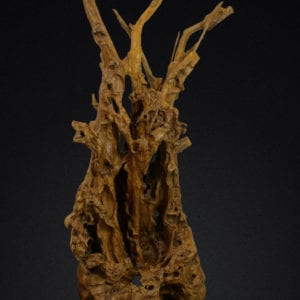 Petrified Wood Sculpture - Dark – Alchemy Fine Home